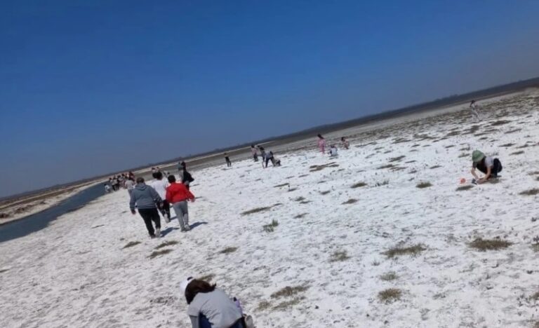 La Bajante De La Laguna De Melincu Dej Un Salar A La Vista De Todos