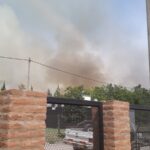 incendio282