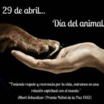 dia-del-animal-copia-300×265