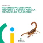 ALACRAN2